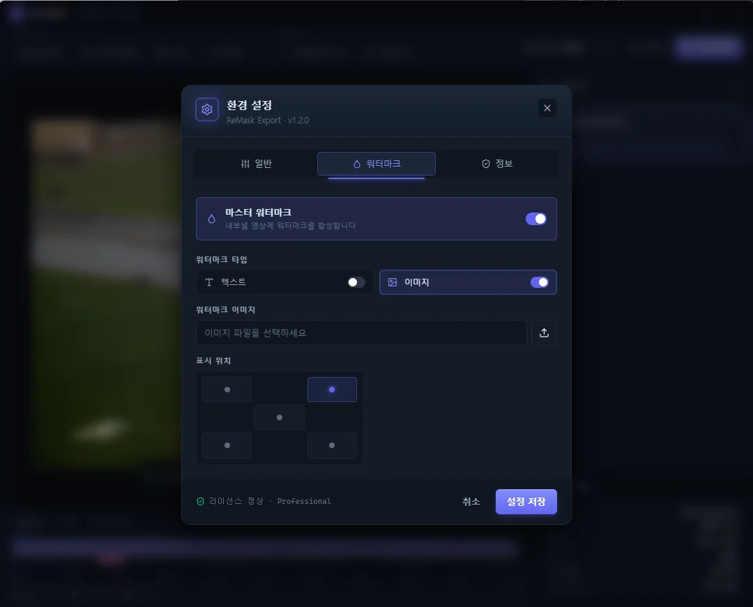 Re:Mask watermark settings